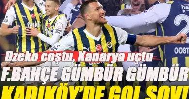Fenerbahçe Goller