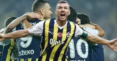 Edin Dzeko Fenerbahçe