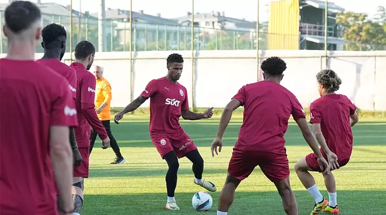 Aslan hazır ve formda